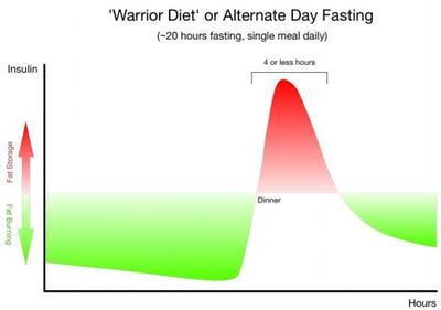 warrior diet insulin chart