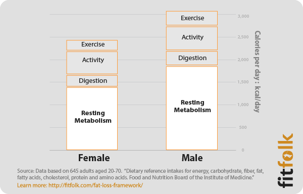 calorie expenditure and metabolism chart