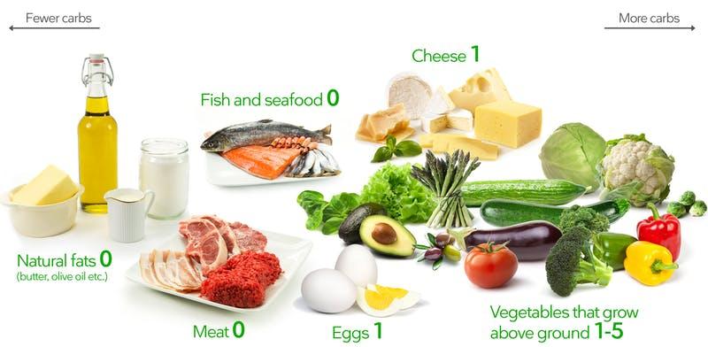 summary of what to eat to loose weight on low carb diet