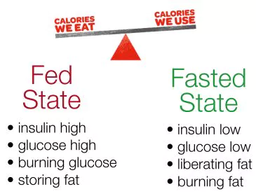 fasted vs unfasted