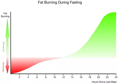 fat burning during fasting