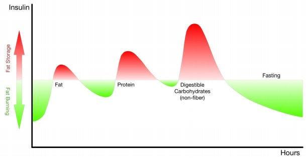 fat storage and fat burning chart