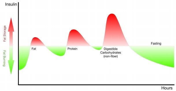 fat storage and fat burning chart