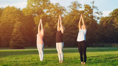 female hormone optimization menu